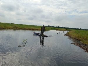 Kerusakan Ekosistem Nelayan Dusun Pendekar Bahan KM 7 Dalam Akibat Aktivitas PT Pertamina Hulu Rokan dan PT Elnusa
