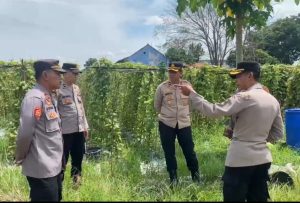 Dukung Ketahanan Pangan, Wakapolres Majalengka Cek Lahan  Persiapan Penanaman Jagung Serentak Se-Indonesia