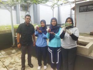 Panen Anggur Perdana, Lapas Majalengka Wujudkan Lahan yang Lebih Produktif