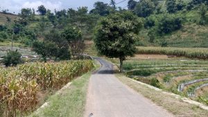 Sambut Menteri ATR/BPN, Tim URC UPTD PUTR Majalengka Tambal Jalan Cibodas-Nunuk Baru