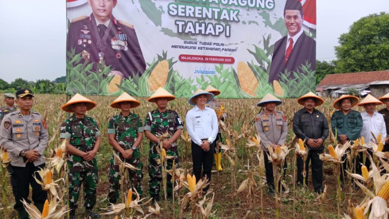 Panen Raya Jagung Polres Majalengka Dukung Ketahanan Pangan RI