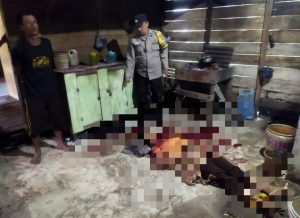 Kejadian Tragis! Gara Hp Seorang Suami di Bantan di Duga Tega Membunuh Istinya Hingga Tewas Denga  Sebilah Kapak