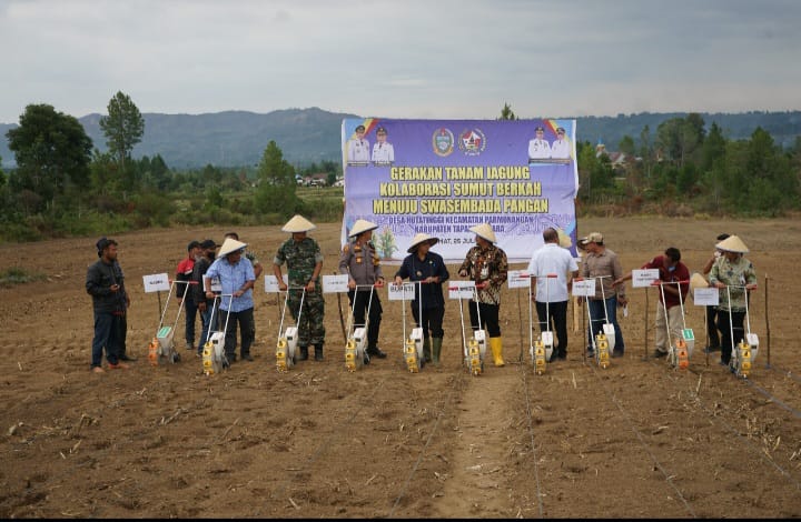 Bupati Taput dan Gubernur Sumut Tanam Jagung di Parmonangan: Bentuk Kolaborasi Dorong Ketahanan Pangan dan Respons Keluhan Petani